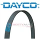 Dayco Alternator and Water Pump Serpentine Belt for 1989-1993 Dodge Daytona rl