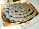 TSUBAKI   RS160-2 Roller Chain     Double Strand  10 Feet  2" pitch #160
